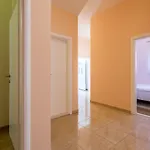 Lukic Apartamento *